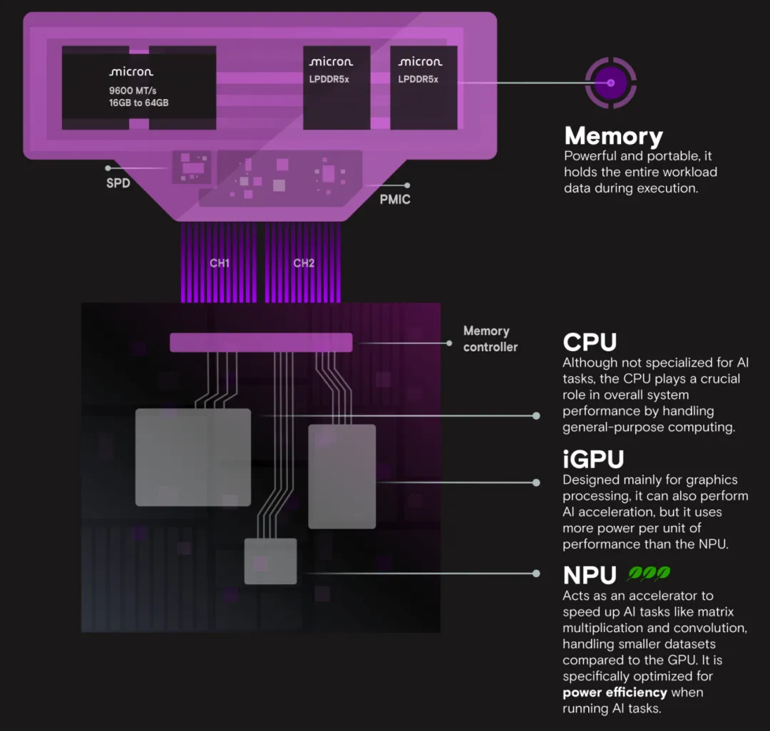Crucial Micron LPCAMM2