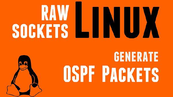 Linux Socket Programming How To