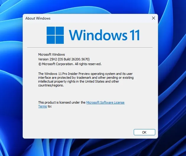 Windows 11 25H2